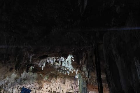 Coba Private Tour Explore Mayan Ruins and Sacred Cenotes — photo 3