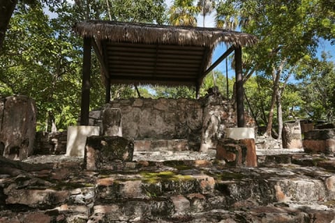 Coba Private Tour Explore Mayan Ruins and Sacred Cenotes — photo 6