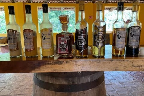 Tour culturel de la ville de Vallarta, tequila et aventure dans la Sierra Madre — photo 11