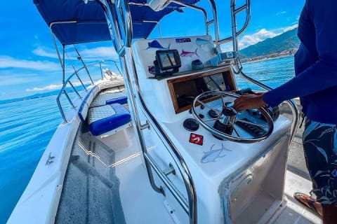 Super Panga Family Fishing Boat — photo 5