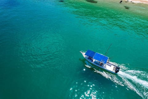 Super Panga Family Fishing Boat — photo 7