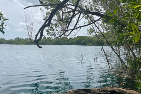 Excursion à Bacalar + Cenote Azul (tous les samedis) — photo 10