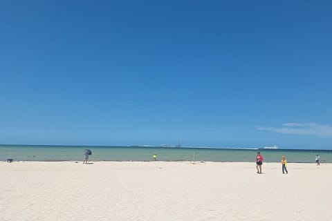 Tour privado de playa desde Mérida: Isla Columpio, Chuburná y Progreso — photo 9