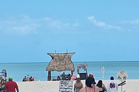 Tour privado de playa desde Mérida: Isla Columpio, Chuburná y Progreso — photo 12