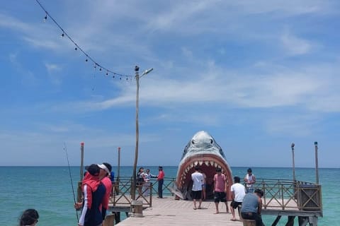 Tour privado de playa desde Mérida: Isla Columpio, Chuburná y Progreso — photo 13