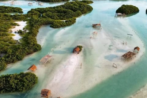 Isla Columpios Boat Ride with Chuburna and Progreso Private Tour — photo 12
