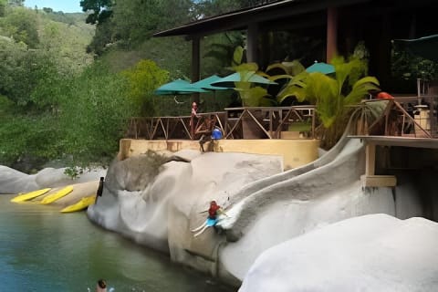 Tirolesa en el dosel y paseo en lancha — photo 4