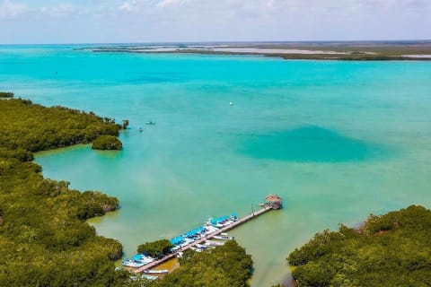 Sian Kaan: Punta Allen Boat Adventure to the Biosphere Heart — photo 11