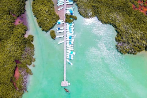 Sian Kaan: Punta Allen Boat Adventure to the Biosphere Heart — photo 12