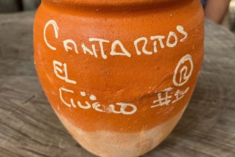 Tour de día completo a la fábrica de tequila y Cantaritos el Güero — photo 14