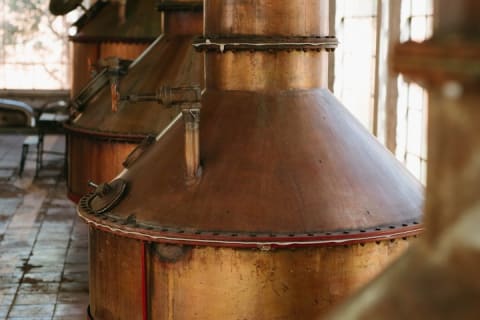 Tour de día completo a la fábrica de tequila y Cantaritos el Güero — photo 2