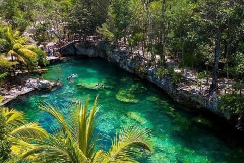 Casa Tortuga Tulum 4 Cenotes Guided with Transportation Included — photo 12