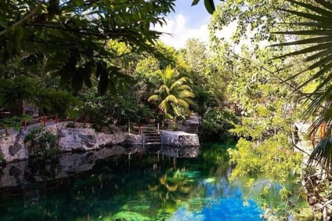 Casa Tortuga Tulum 4 Cenotes Guided with Transportation Included — photo 13