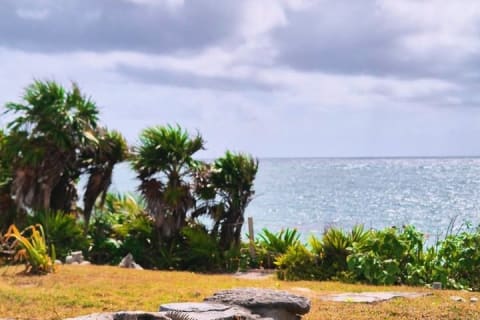 Hallf Day Tulum Ruins Tour, Cenote Swim & Mexican Lunch — photo 8