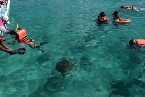 The secret of Caleta Tankah the Tulum reef and the hidden cove — photo 4