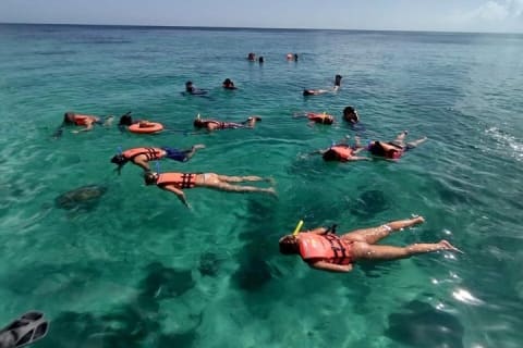 The secret of Caleta Tankah the Tulum reef and the hidden cove — photo 5