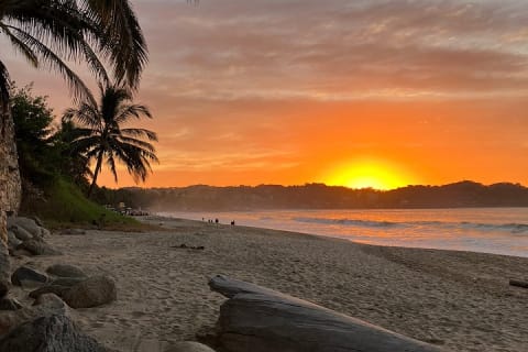 Sayulita to Camino al Buddha : 12 km Biocultural Hiking Experience — photo 14