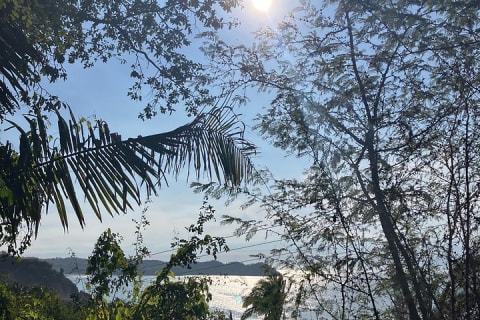 Sayulita to Camino al Buddha : 12 km Biocultural Hiking Experience — photo 10