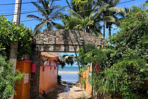 Sayulita to Camino al Buddha : 12 km Biocultural Hiking Experience — photo 12