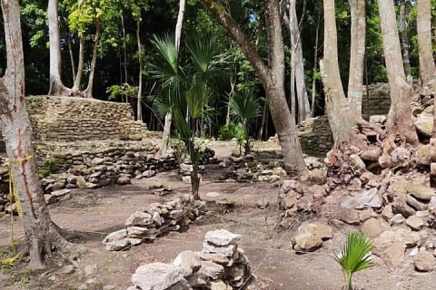 Muyil Tour and Cenote Swim Explore Ancient Ruins and Nature — photo 6