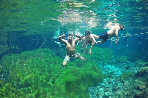 Muyil Tour and Cenote Swim Explore Ancient Ruins and Nature — photo 7