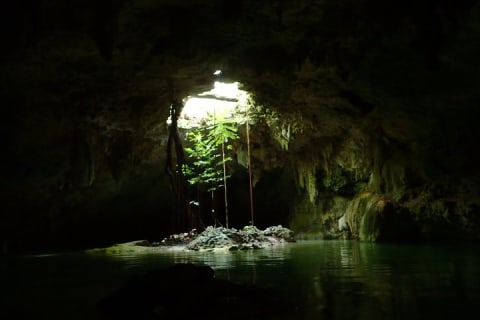 Private Tour to Sac Actun Cenote and Tacos in Tulum — photo 7