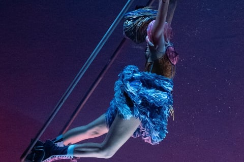 Cirque du Soleil LUDÕ — Vallarta — photo 6
