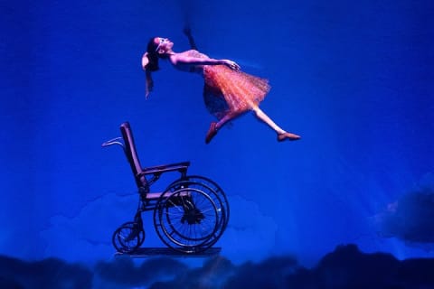 Cirque du Soleil LUDÕ — Vallarta — photo 8