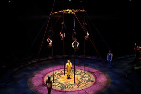 Cirque du Soleil LUDÕ — Vallarta — photo 9