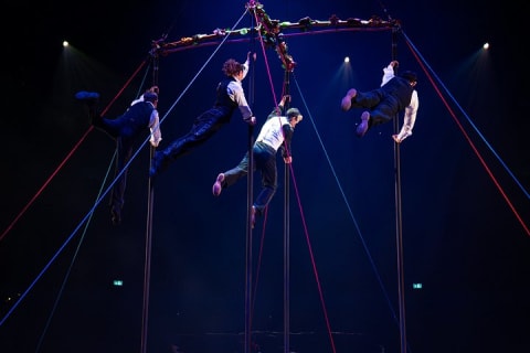 Cirque du Soleil LUDÕ — Vallarta — photo 10