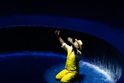 Cirque du Soleil LUDÕ — Vallarta — photo 11