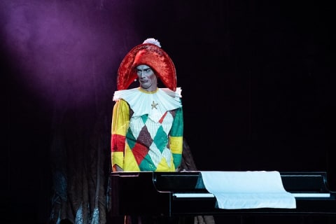 Cirque du Soleil LUDÕ — Vallarta — photo 12