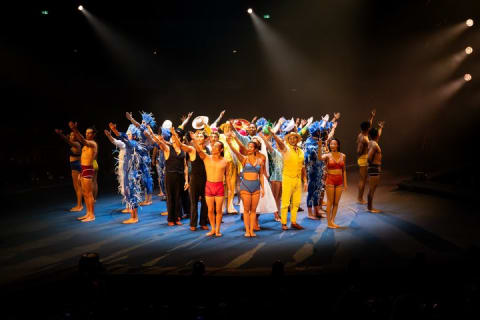 Cirque du Soleil LUDÕ — Vallarta — photo 15