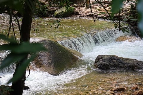 Puerto Vallarta : excursion d'une demi-journée plage, tequila et rivière — photo 13