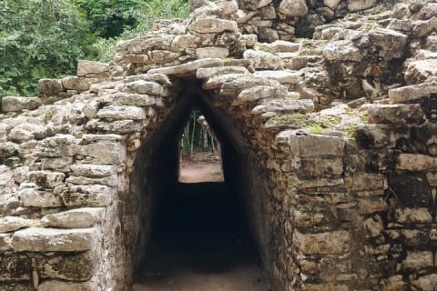 Coba Private Tour Explore Mayan Ruins and Sacred Cenotes — photo 14