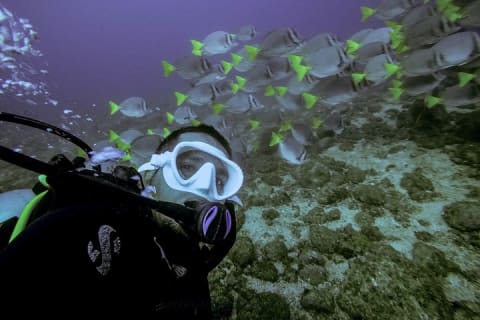 Buceo en grupo pequeño en Los Arcos desde Sayulita — photo 8