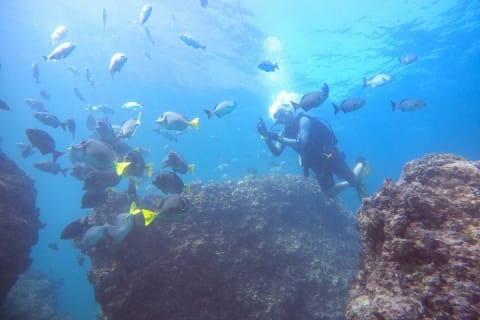 Buceo en grupo pequeño en Los Arcos desde Sayulita — photo 9