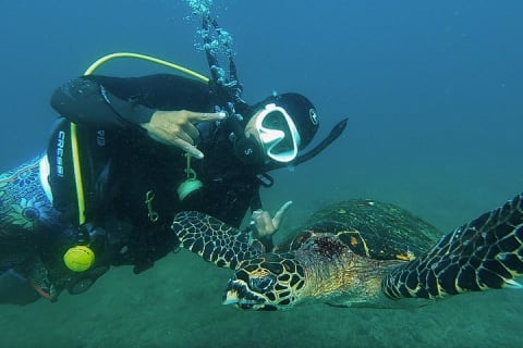 Buceo en grupo pequeño en Los Arcos desde Sayulita — photo 5