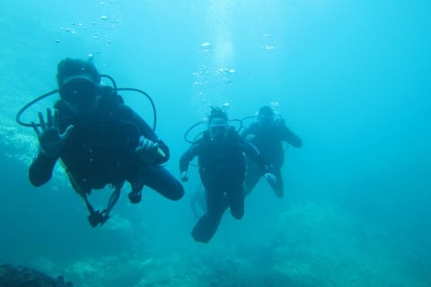 Buceo en grupo pequeño en Los Arcos desde Sayulita — photo 15