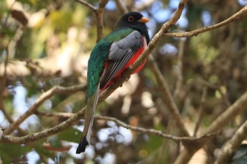 Observation des oiseaux et expérience chocolat dans la Sierra Vallejo — photo 2