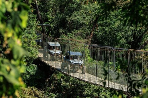 RZR au pont Jorullo à Puerto Vallarta — photo 5