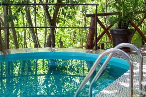 RZR or ATV Tour in Puerto Vallarta with Tequila and Natural Pool. — photo 11