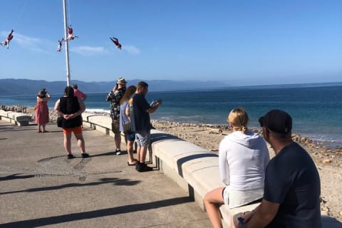 Half day Private tour of Puerto Vallarta with a Local Guide — photo 5
