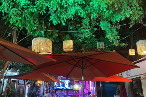 Tour gastronomique traditionnel de 10 saveurs à Mérida — photo 8