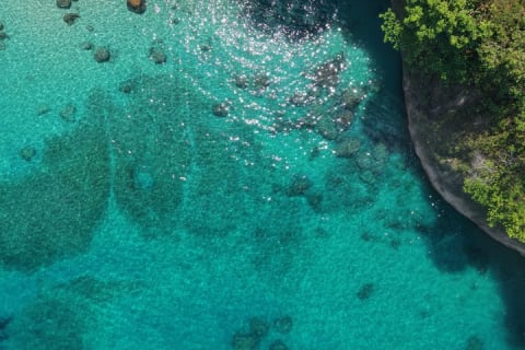 Snorkel y paseo épico en barco al santuario de Los Arcos — photo 15