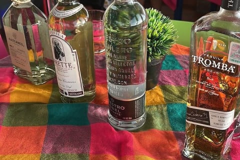 Tequila, l'âme du Mexique — photo 8