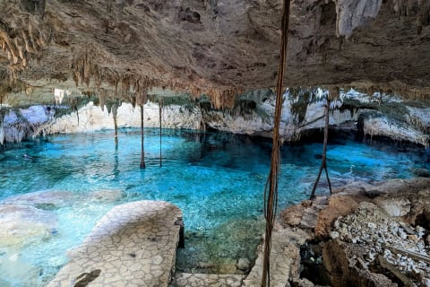 The Cenote Snorkeling Experience in Tulum — photo 6