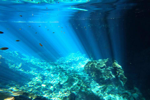 The Cenote Snorkeling Experience in Tulum — photo 2