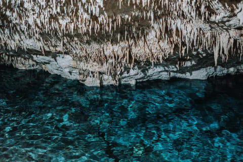 The Cenote Snorkeling Experience in Tulum — photo 4