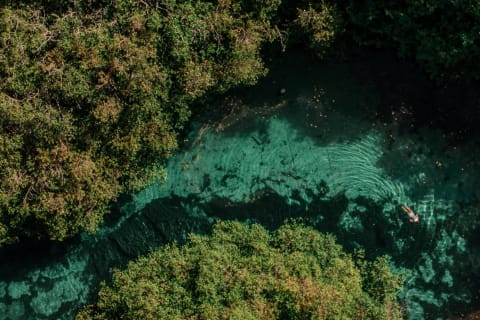 The Cenote Snorkeling Experience in Tulum — photo 1